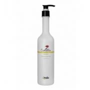 Amida 山茶花養髮洗髮精 400ml