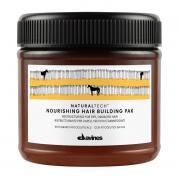 Davines(特芬莉)  達芬尼斯  滋養奇蹟重建髮膜 250ml